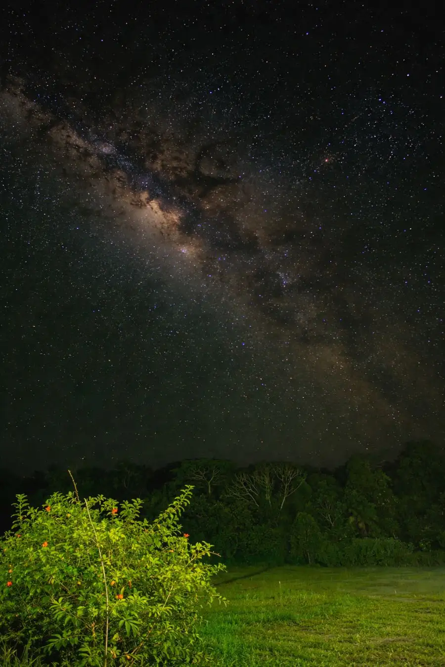 Céu noturno fotografado com técnica de astrofotografia
